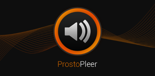 pleer_logo